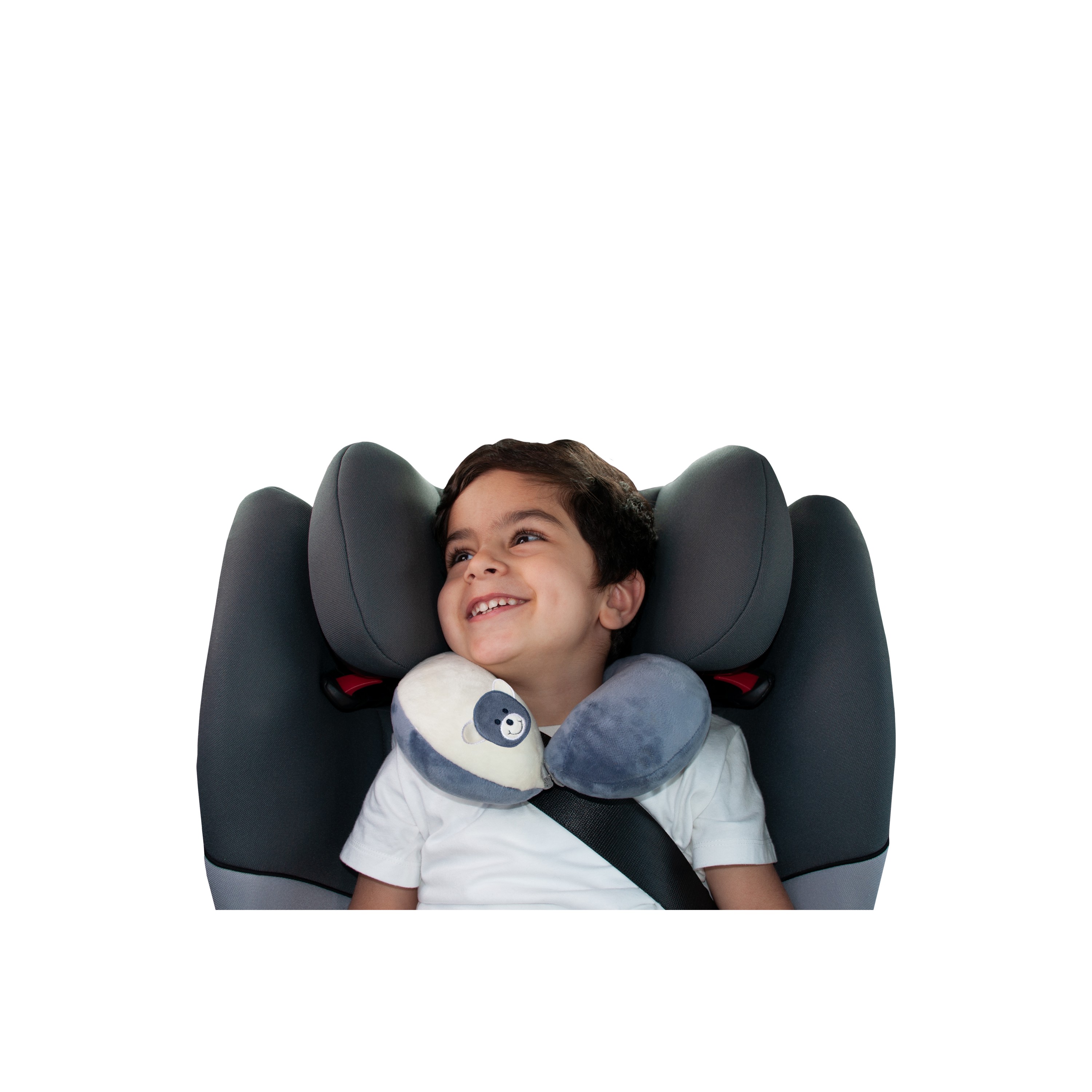 Lts store travel pillow