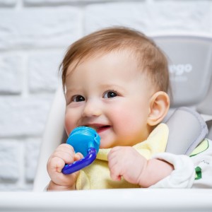 Silicone Fruit Pacifier & Teether