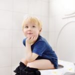 Paper Toilet Seat Covers - Image 2